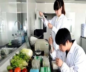 食品安全檢測整體方案 食品安全檢測整體方案