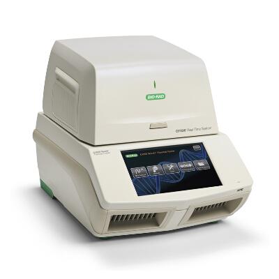 1569395227623328.jpg 1.jpg